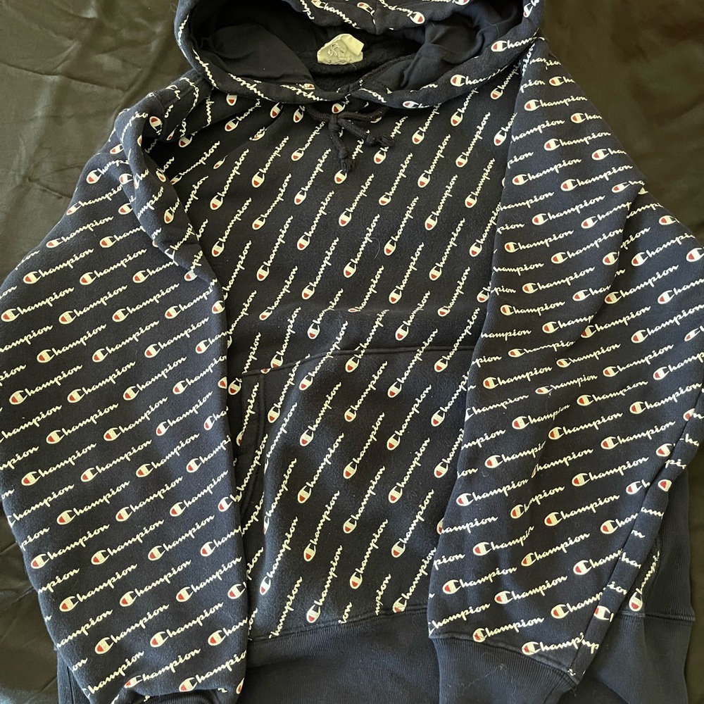 Hooded mens champion sweatshirt